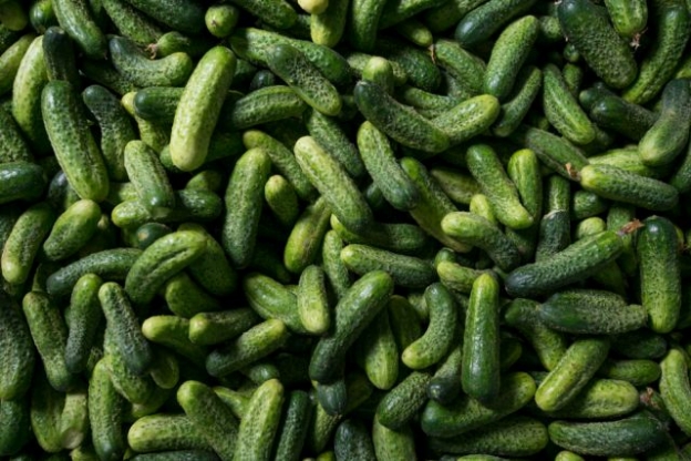 kornison