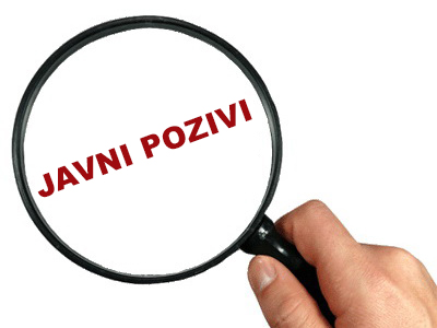 javni pozivi