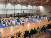 3. Karate kup Usora 2012.